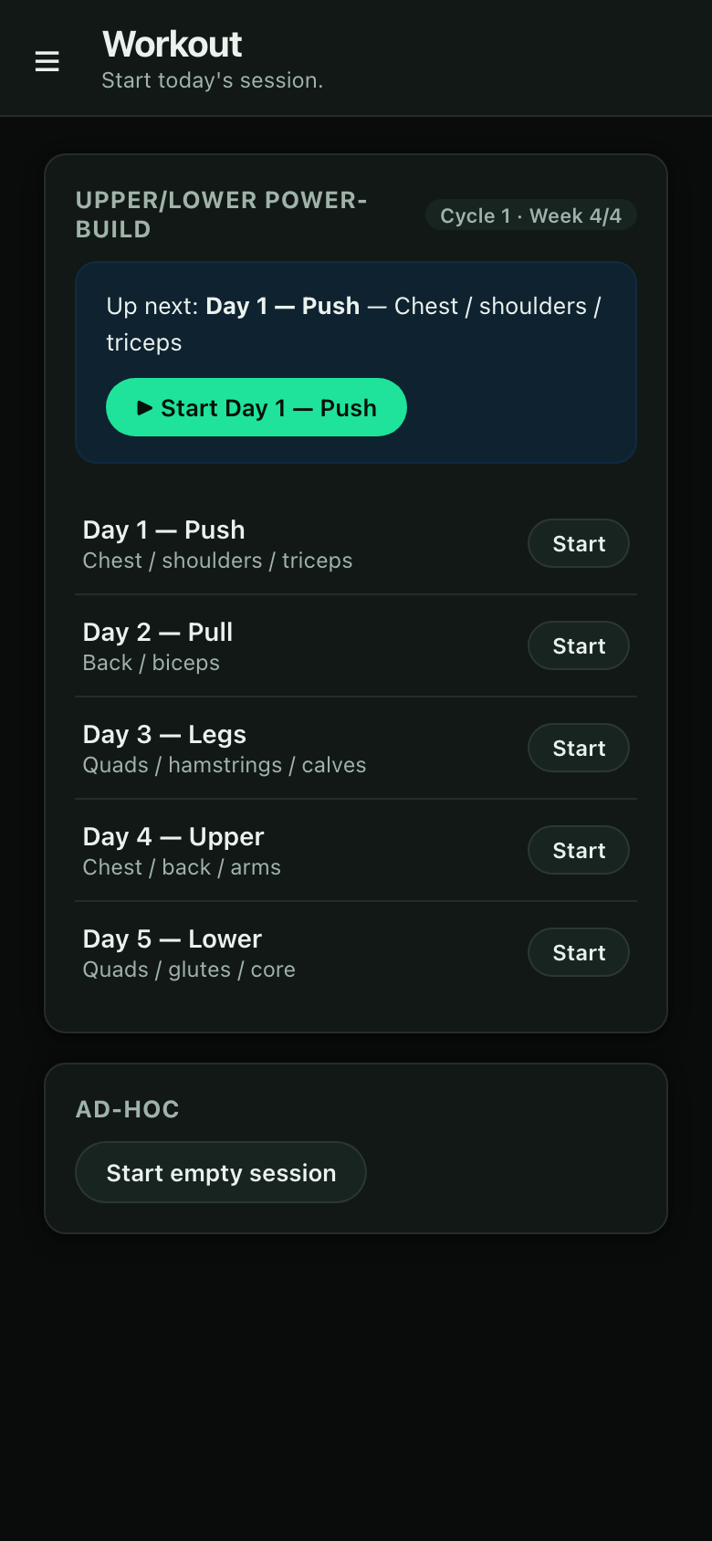 Workout — program day with sets, reps and weights ready to log
